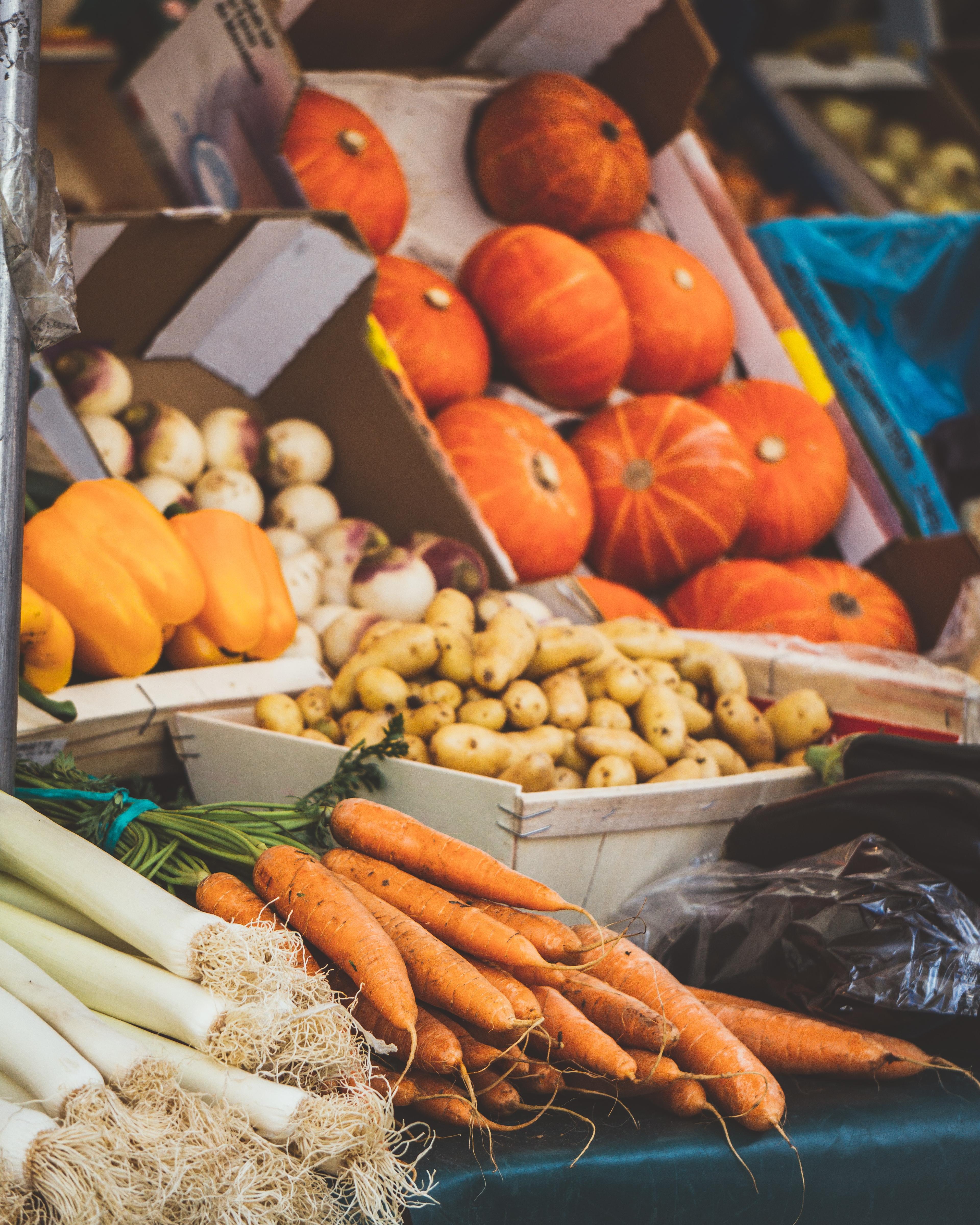 fresh assortment of vegetables 